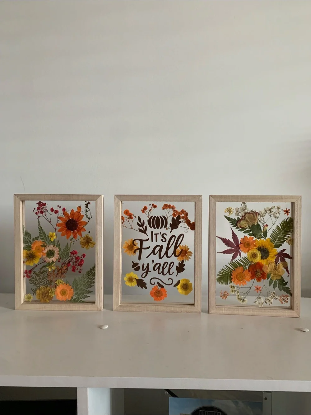 Autumn Pressed Flower Wall Art Set - Orange & Yellow 4”x. 6”